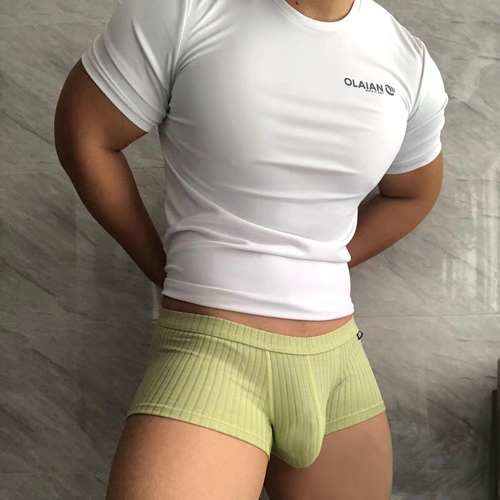 Cotton short boxer briefs for  - đánh giá và giá Boxer Brief Pack Cotton