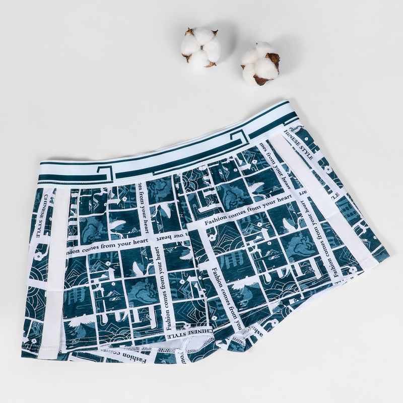 Men's underwear, men's pure co - đánh giá và giá Boxer Brief Pack Cotton
